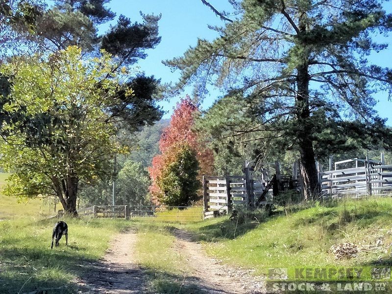 1279 Nulla Nulla Creek Road, Bellbrook NSW 2440