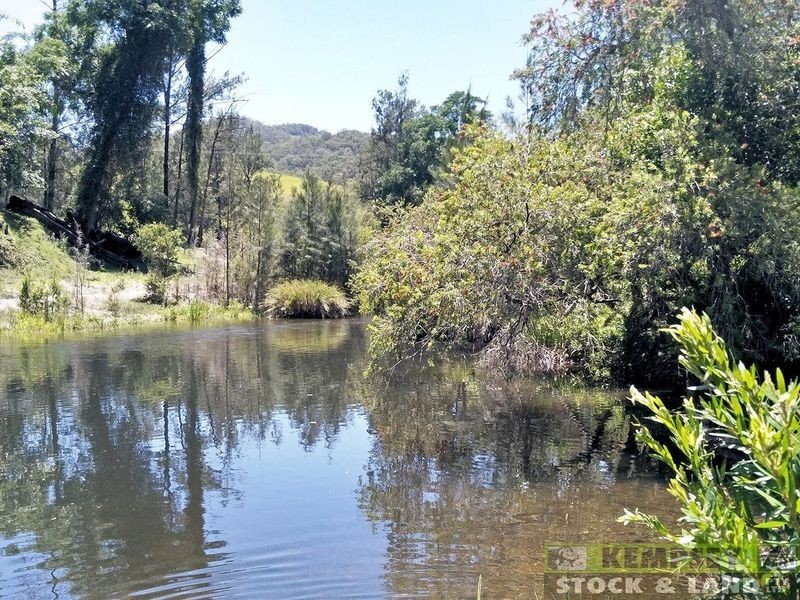 1279 Nulla Nulla Creek Road, Bellbrook NSW 2440