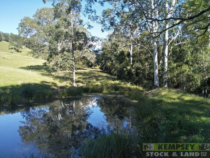 1279 Nulla Nulla Creek Road, Bellbrook NSW 2440