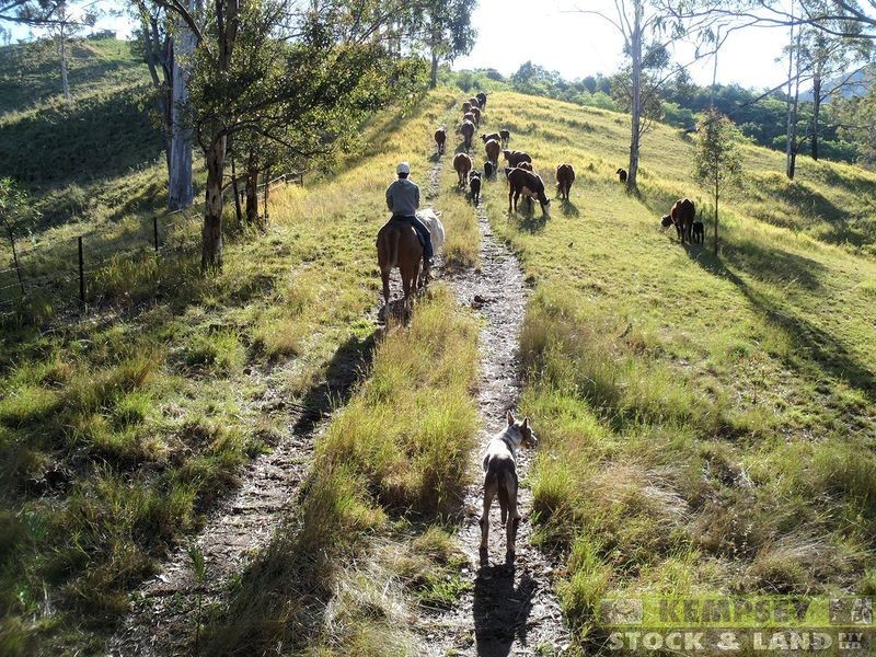 1279 Nulla Nulla Creek Road, Bellbrook NSW 2440