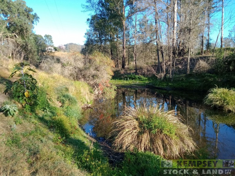 1279 Nulla Nulla Creek Road, Bellbrook NSW 2440