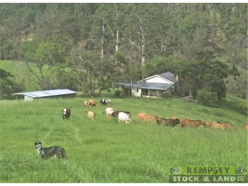 1279 Nulla Nulla Creek Road, Bellbrook NSW 2440