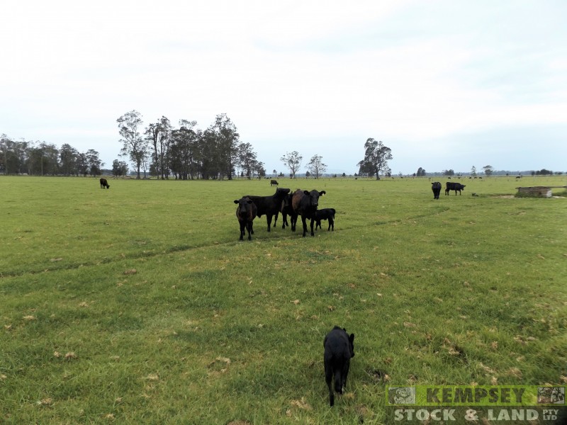 Seven Oaks NSW 2440