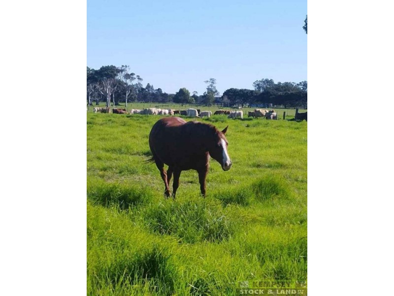 416 Kinchela Creek Left Bank Rd, Kinchela NSW 2440