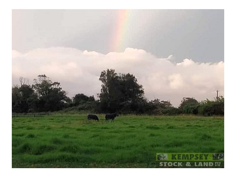416 Kinchela Creek Left Bank Rd, Kinchela NSW 2440