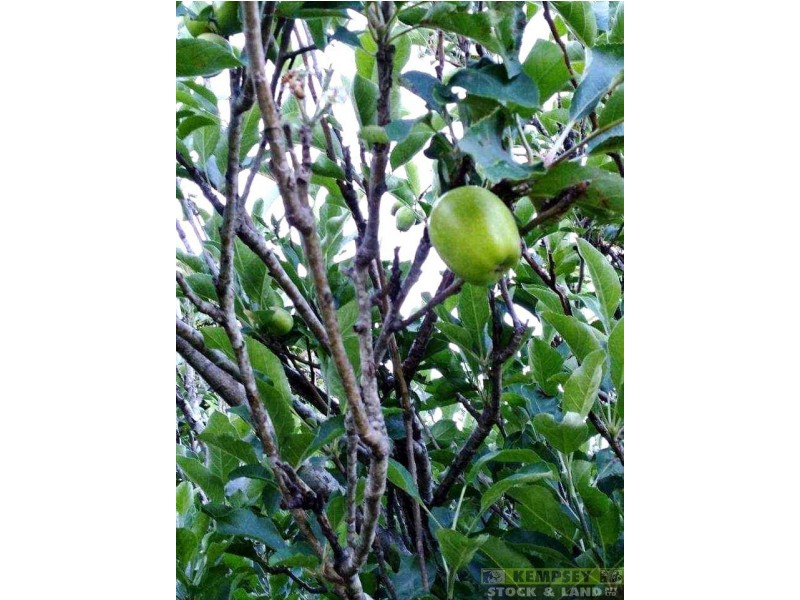 416 Kinchela Creek Left Bank Rd, Kinchela NSW 2440