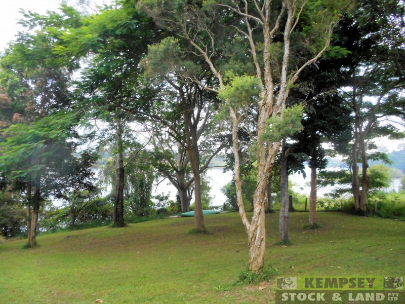 7 Hill St, East Kempsey NSW 2440