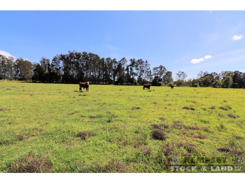 Lot 99 Gladstone Racecourse Loop Road, Gladstone NSW 2440
