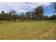 1505 Collombatti Rd, Collombatti NSW 2440