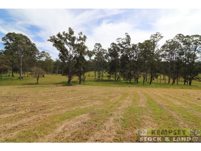 1505 Collombatti Rd, Collombatti NSW 2440