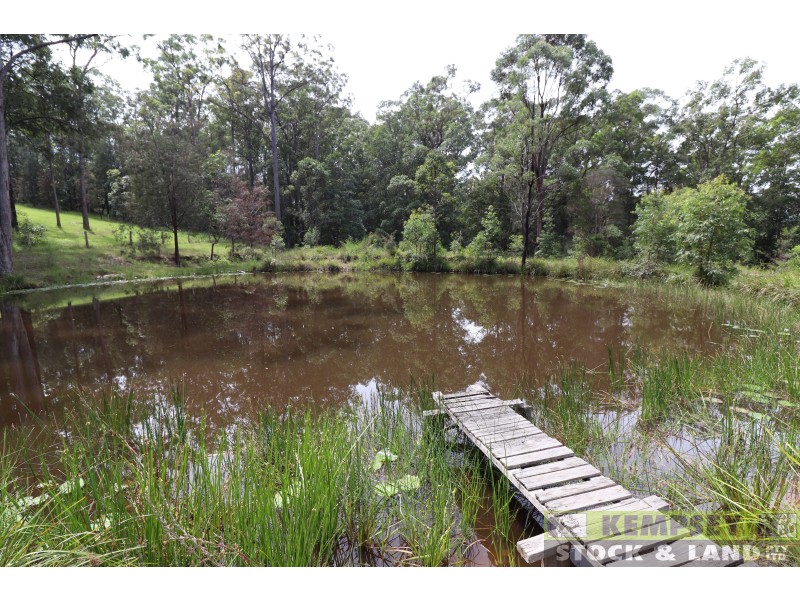 1505 Collombatti Rd, Collombatti NSW 2440