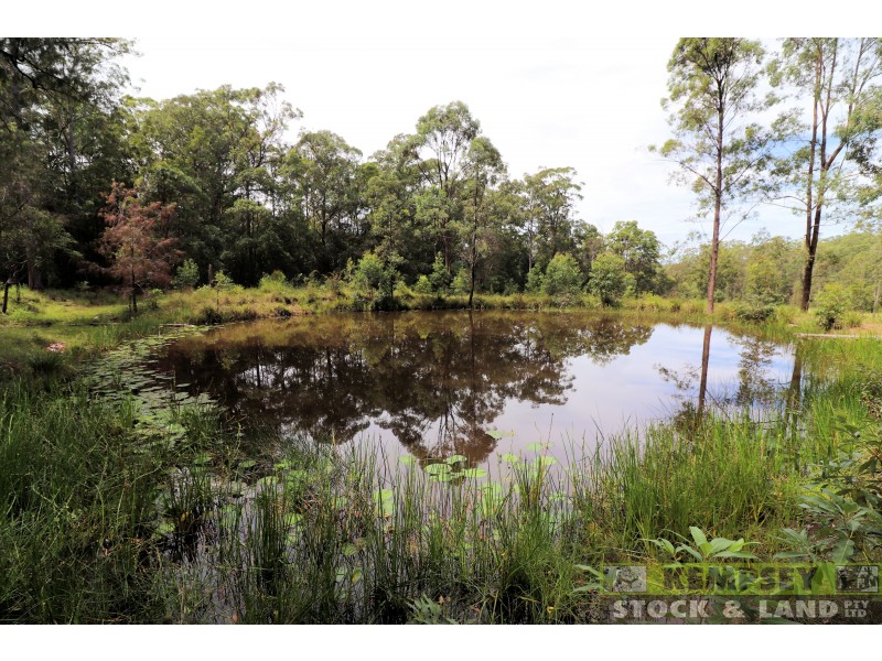 1505 Collombatti Rd, Collombatti NSW 2440