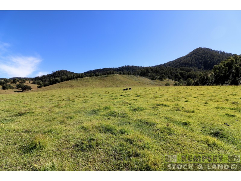 2 Lower Creek Rd, Lower Creek NSW 2440