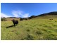 2 Lower Creek Rd, Lower Creek NSW 2440