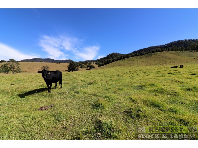2 Lower Creek Rd, Lower Creek NSW 2440
