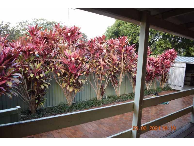 23 Rudder St, South West Rocks NSW 2431