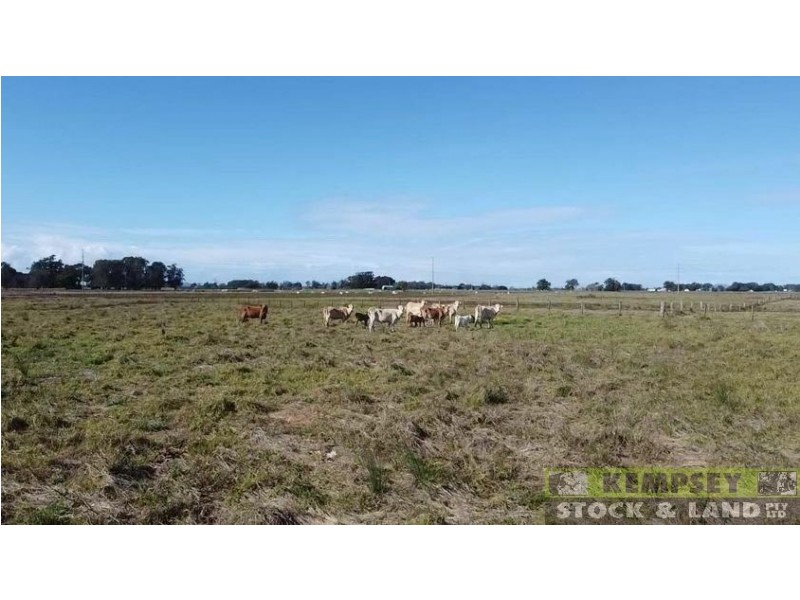 Lot 163 McCarthys Lane, Clybucca NSW 2440