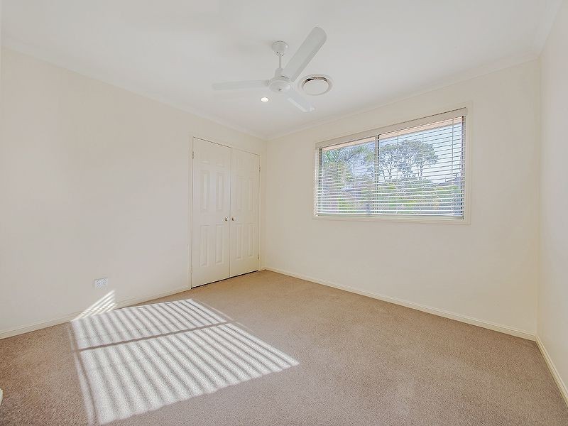167 Petersen Street, Wynnum QLD 4178