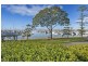 483 Royal Esplanade, Manly QLD 4179