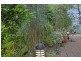 7 Possum Court, Capalaba QLD 4157