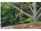 234 Stratton, Manly QLD 4179