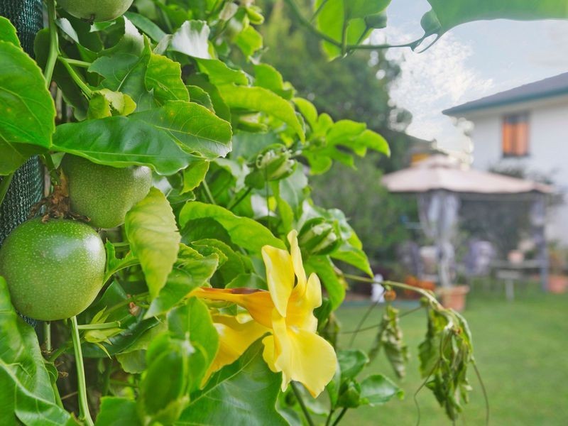 3 Gaywood Street, Wynnum West QLD 4178