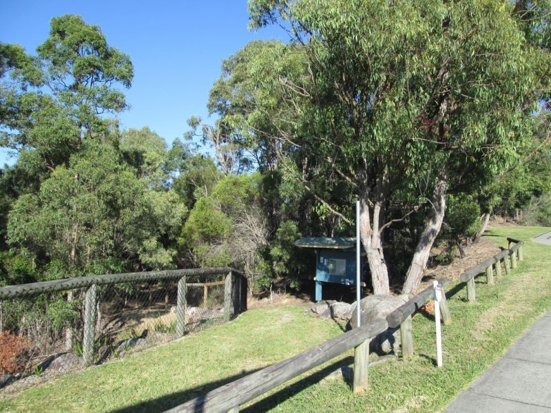 336 Richmond Road, Cannon Hill QLD 4170