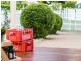 24 Sweetapple Place, Manly West QLD 4179