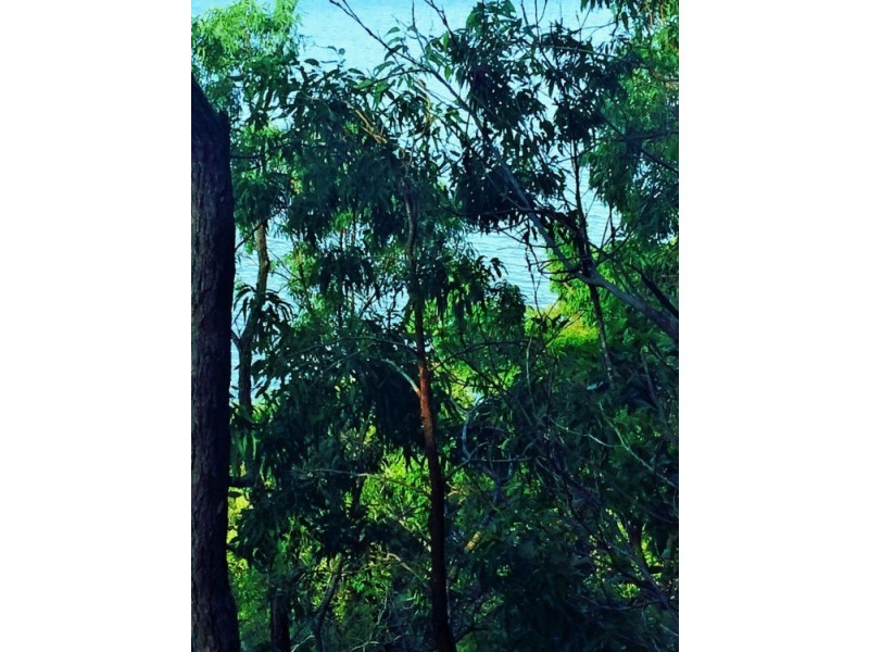 625 Esplanade, Lota QLD 4179