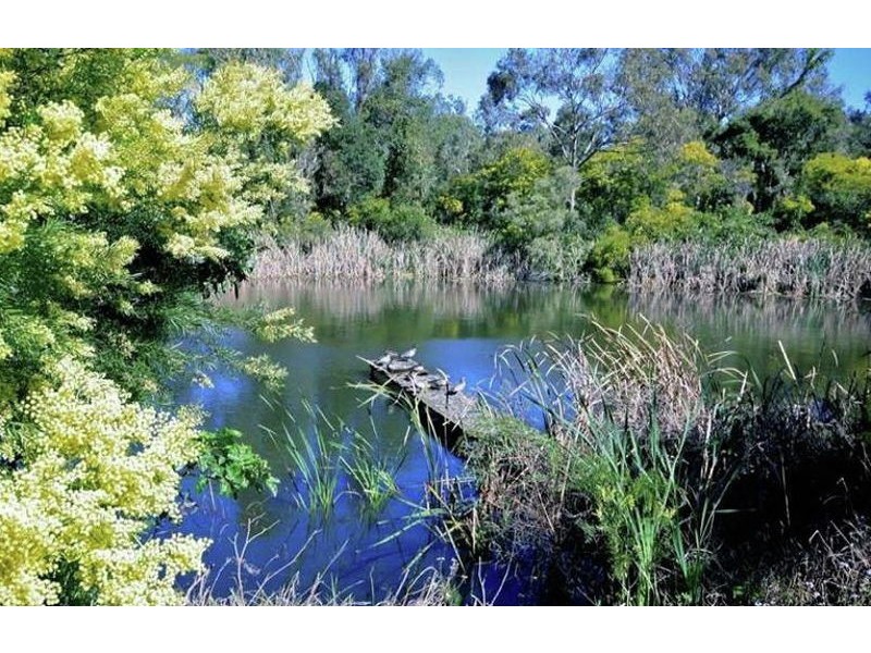 50-40 Hargreaves Road, Manly West QLD 4179