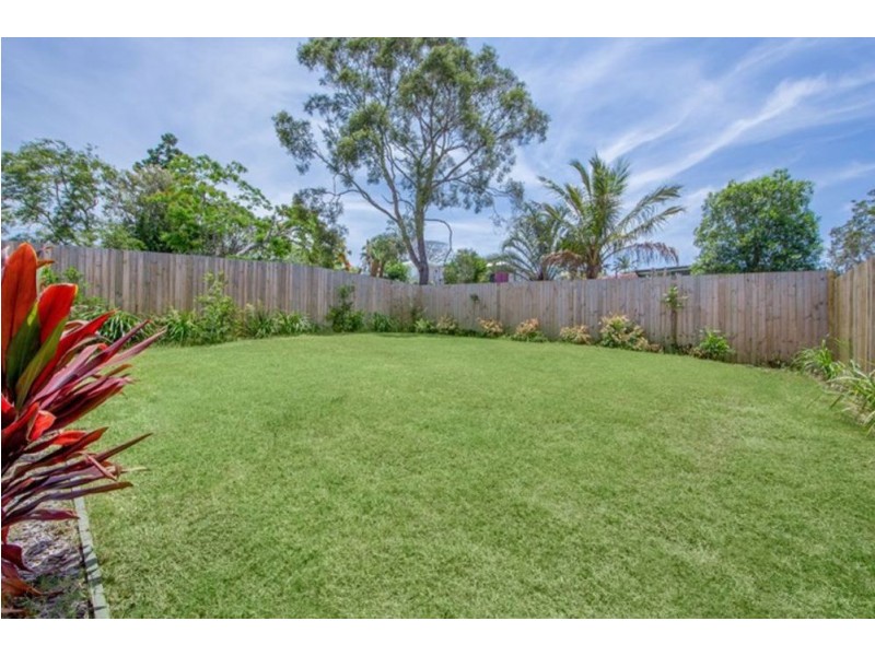 39 Curtis Street, Manly QLD 4179