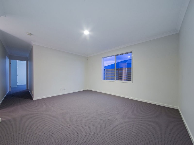 41 Williams St, Wakerley QLD 4154