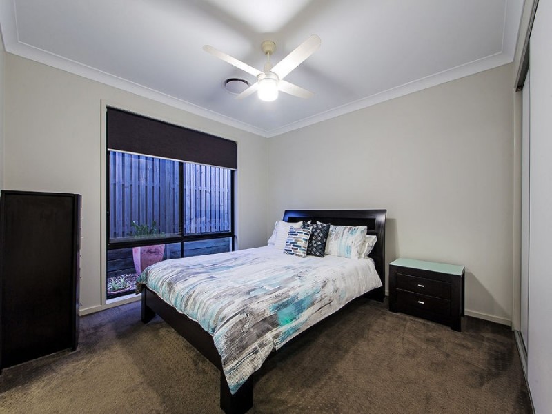 7 Amalia St, Birkdale QLD 4159