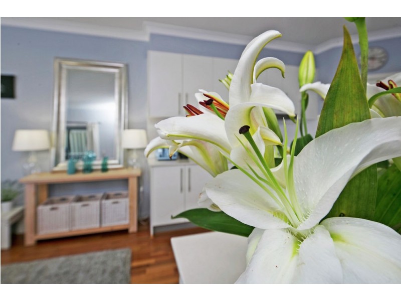 113 Moreton Avenue, Wynnum QLD 4178