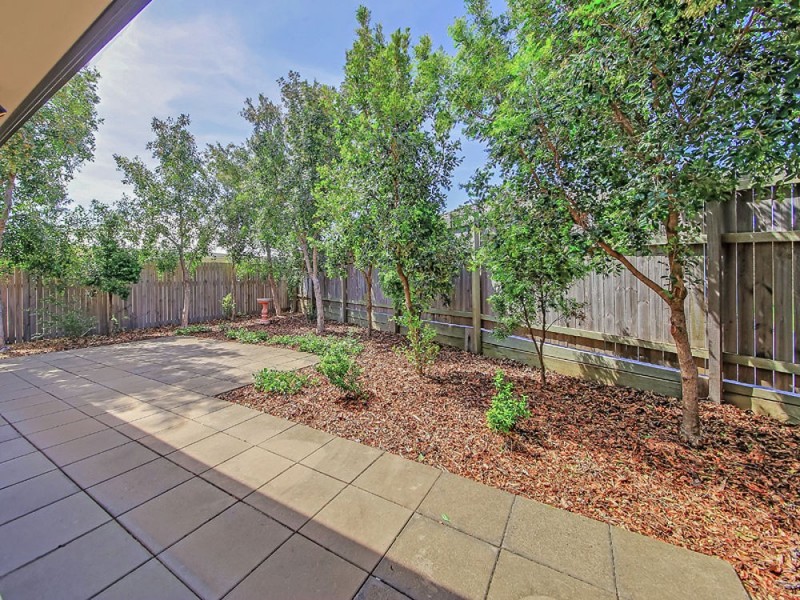 4 Begonia Court, Wynnum West QLD 4178