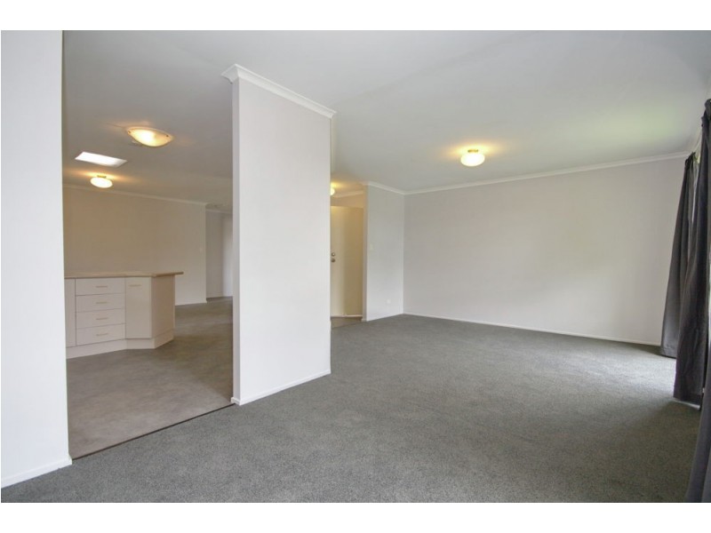 48 Harman St, Manly QLD 4179