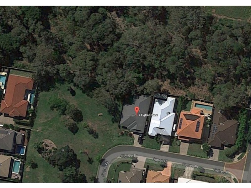 7 Figtree Place, Wakerley QLD 4154