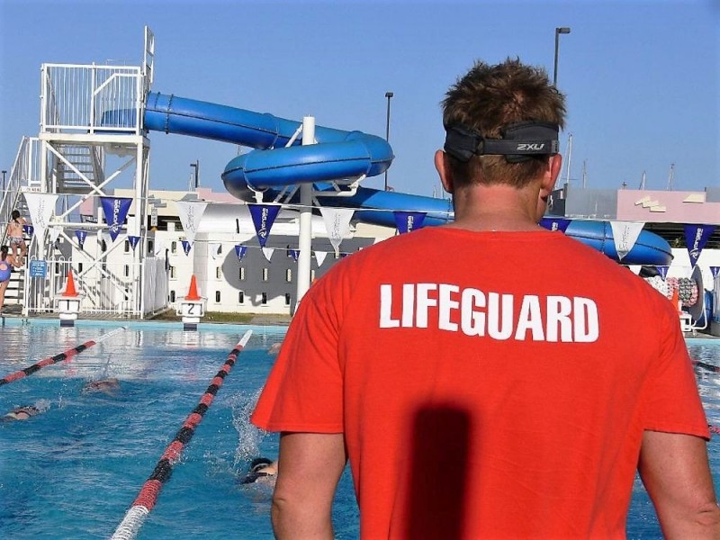 43 Gannon Ave, Manly QLD 4179