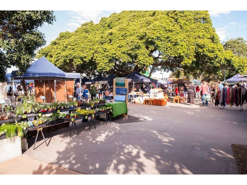 43 Gannon Ave, Manly QLD 4179