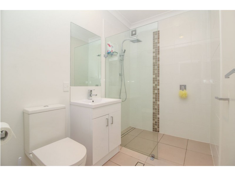 17 Chestnut St, Wynnum QLD 4178