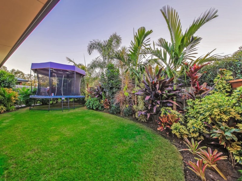 64 Brokenwood Circuit, Gumdale QLD 4154