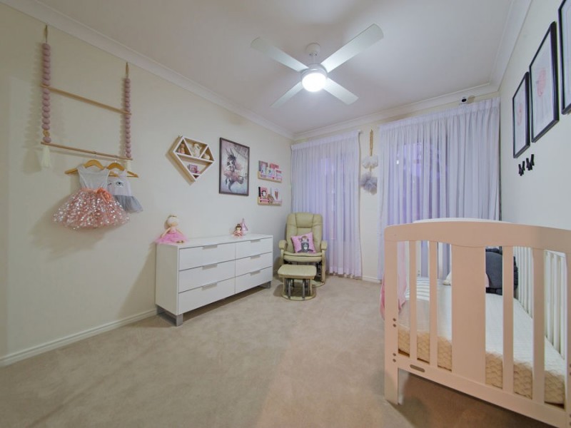 64 Brokenwood Circuit, Gumdale QLD 4154