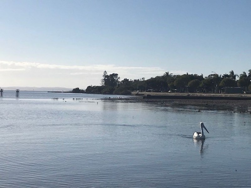 28 Loughrea Street, Tingalpa QLD 4173