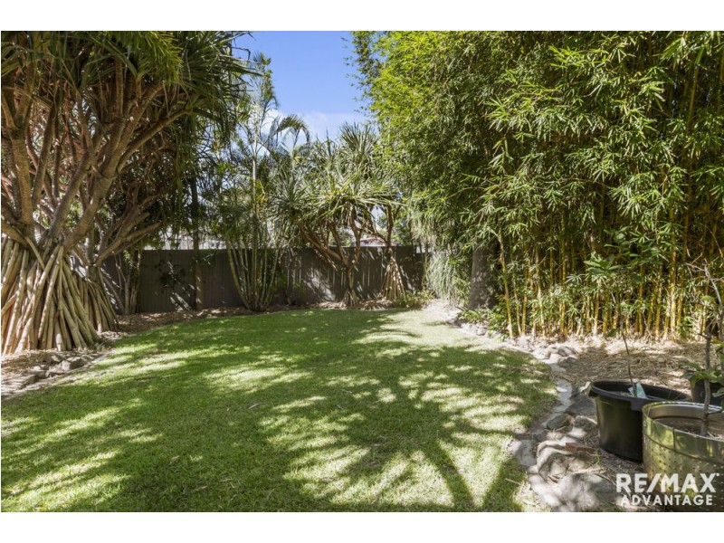 16 Bird Street, Manly QLD 4179