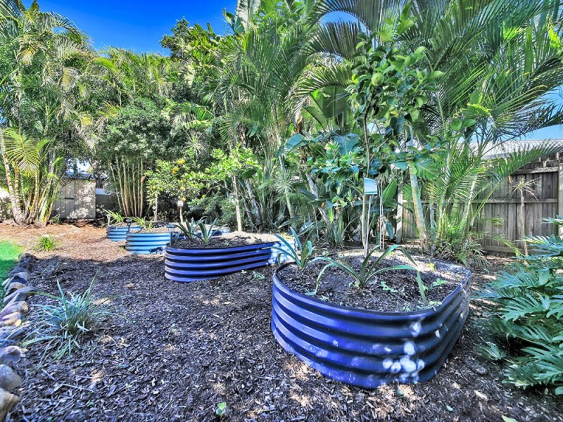 37 Mizzen St, Manly West QLD 4179