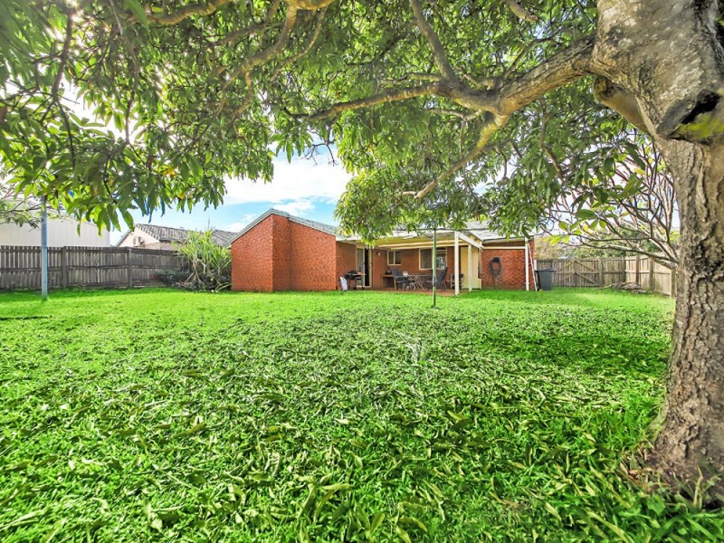 33 Samarinda Street, Tingalpa QLD 4173