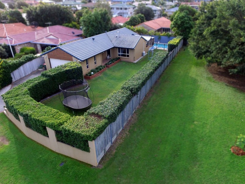 7 Manettia Street, Wynnum West QLD 4178