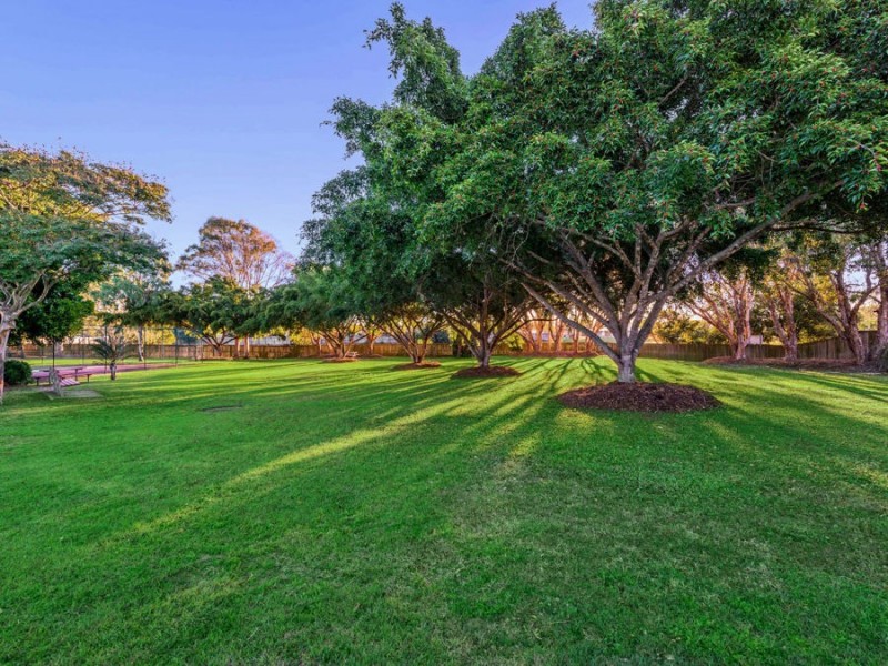 54/100 Meadowlands Road, Carina QLD 4152