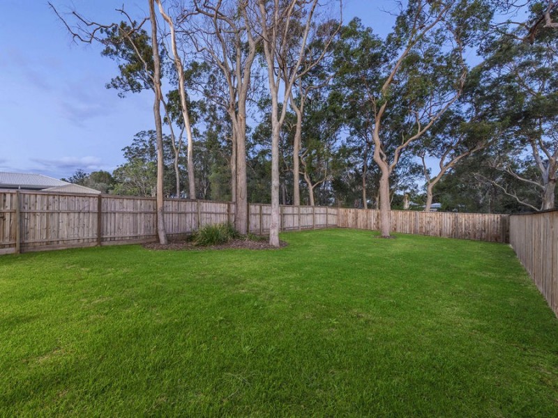 21 Eucalypt Street, Wakerley QLD 4154