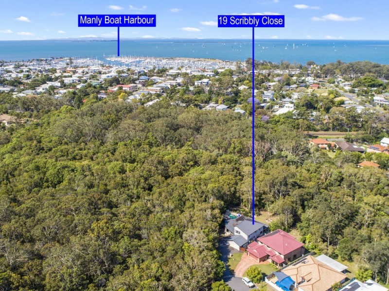 19 Scribbly Close, Lota QLD 4179